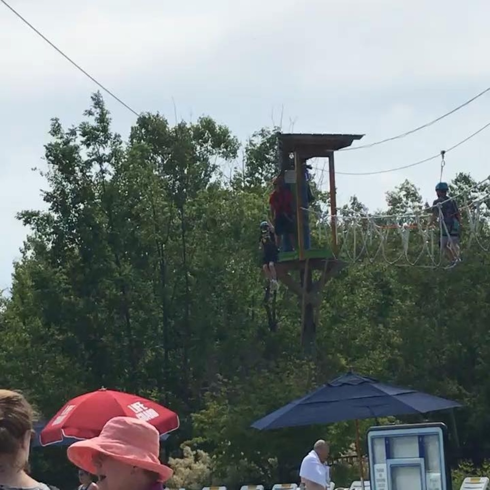 Meet your Posher, Dave